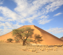 Намибия : Две пустыни и Океан, С русскоговорящим Гидом. Maршрут: пустыня Калахари (1н.), парк Намиб Науклюфт (Cоссусфлей + Сесрием / 2н.), Свакопмунд / Вэлвиш Бэй (2н.), 6 дней / 5 ночей, стоимость от 5070 дол