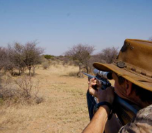Охота в южноафриканском регионе: ЮАР, Намибия, Зимбабве, Мозамбик