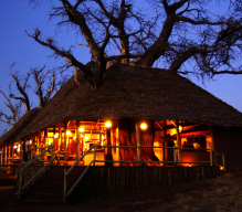 Все самое лучшее. Авиа программа по Танзании для ВИП туристов 7 дней Сафари + 7 дней Занзибар 