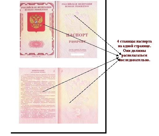 Строительство фундамента своими руками для деревянного дома 17 Строительство фундамента своими руками для деревянного дома 31